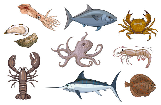 卡通可食用的海洋动物图片下载