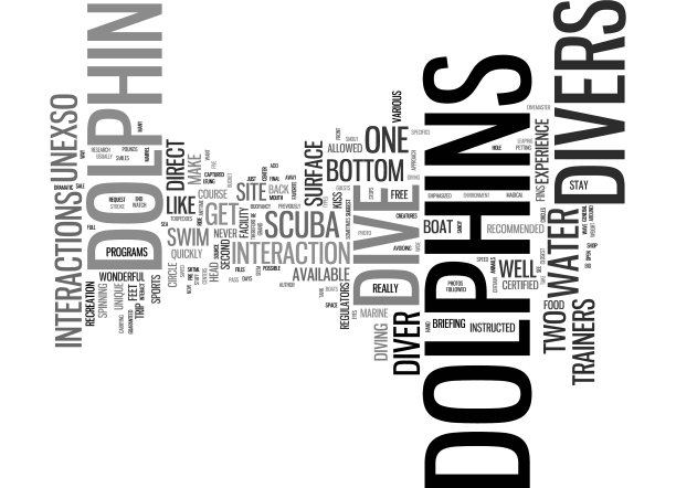 海豚潜水认证水肺潜水员的文本图片下载
