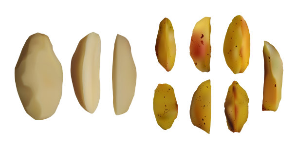 去皮烤土豆。图片下载