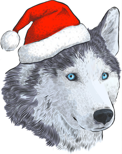 哈士奇在圣诞老人的帽子肖像雕刻手图片下载