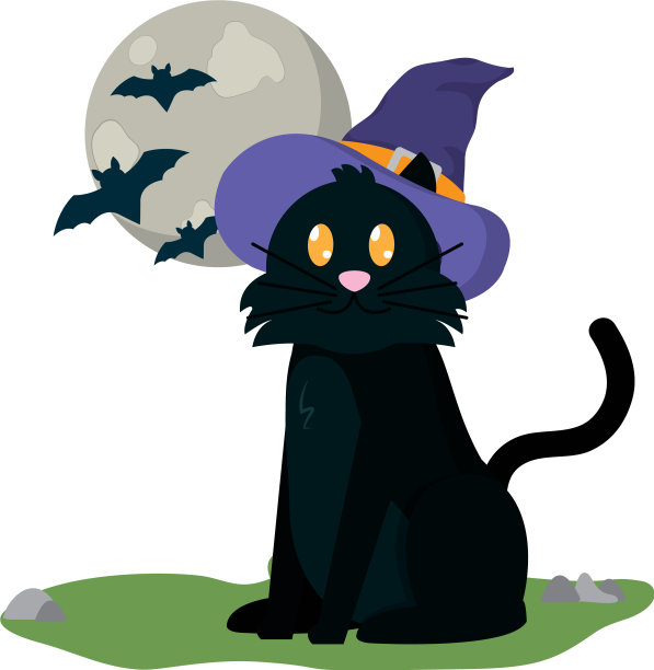 万圣节戴帽子的猫图片下载
