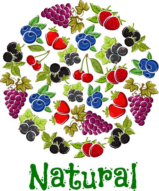 圆形的天然水果和浆果图片下载