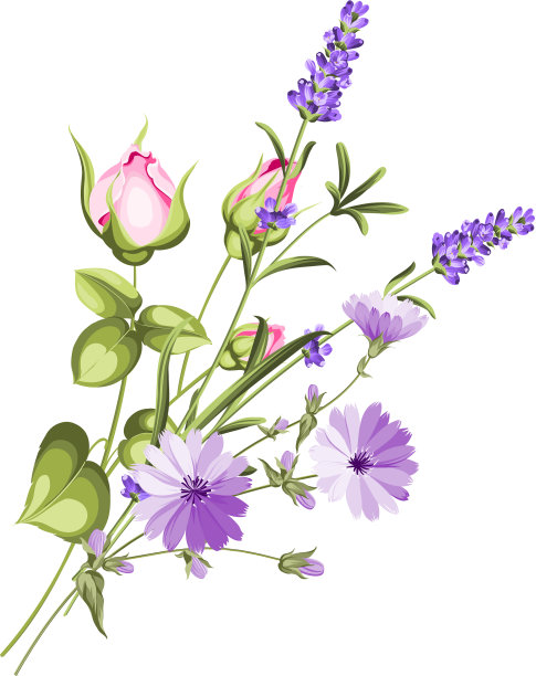 菊苣花环优雅的卡片图片下载