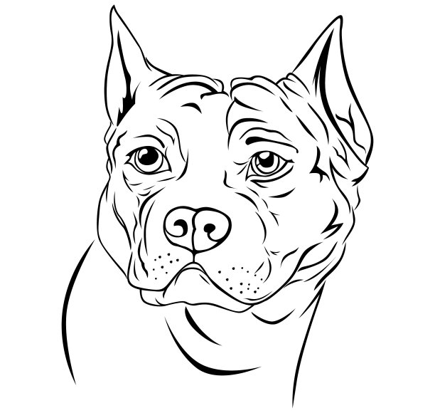 狗的头图片下载