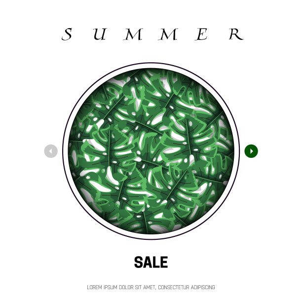 热带的叶子在一个圆圈网横幅为图片下载