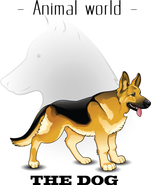动物世界的狗德国牧羊犬背景ve图片下载