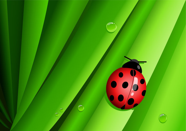 绿色树叶上的瓢虫图片图片下载