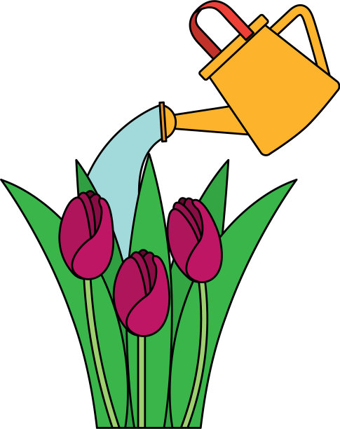 美丽的玫瑰种植与喷头图片下载