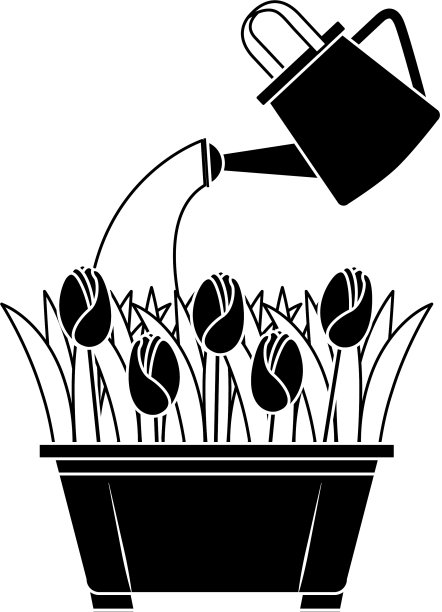 美丽的玫瑰种植在花盆与喷头图片下载