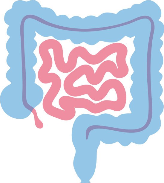 孤立的肠图片下载