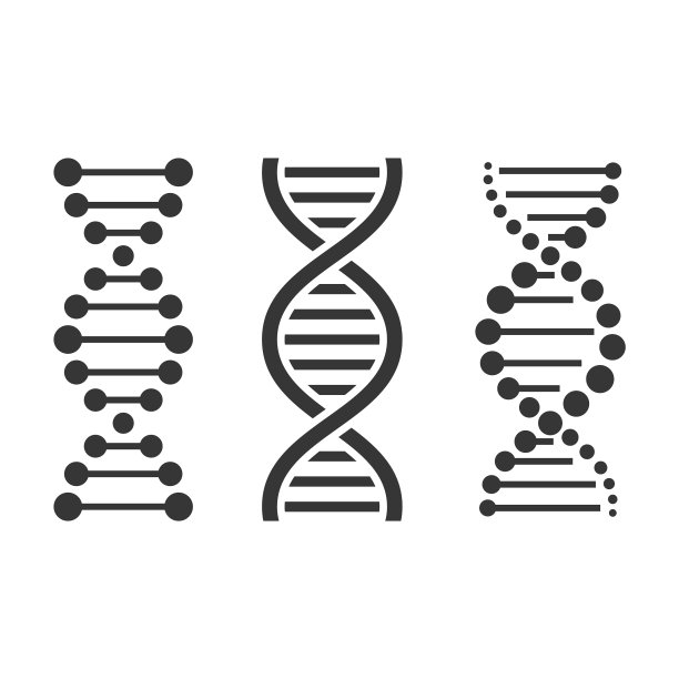 DNA图标设置在白色背景图片下载
