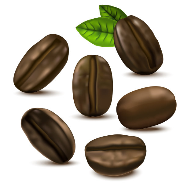 逼真的3d咖啡各种豆集图片下载