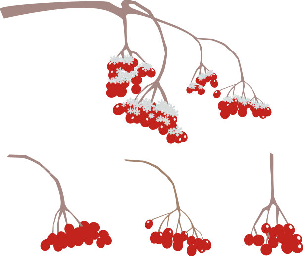 雪下花枝下梨子下雪图片下载