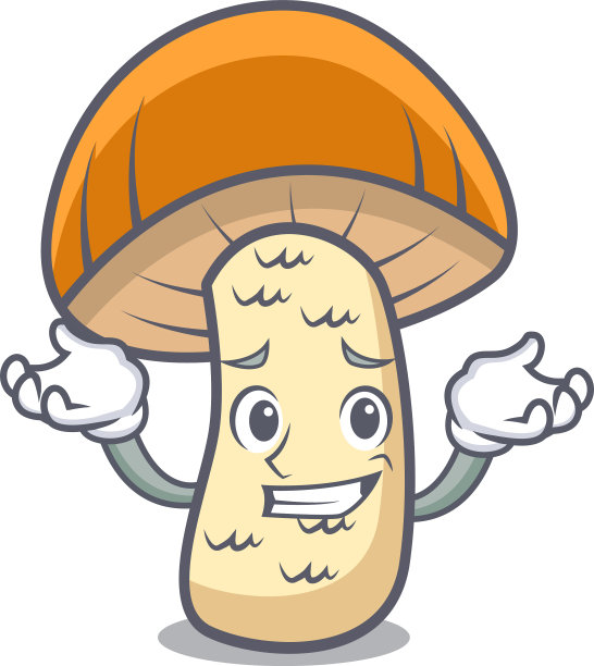 咧嘴笑橙帽牛肝菌特征图片下载