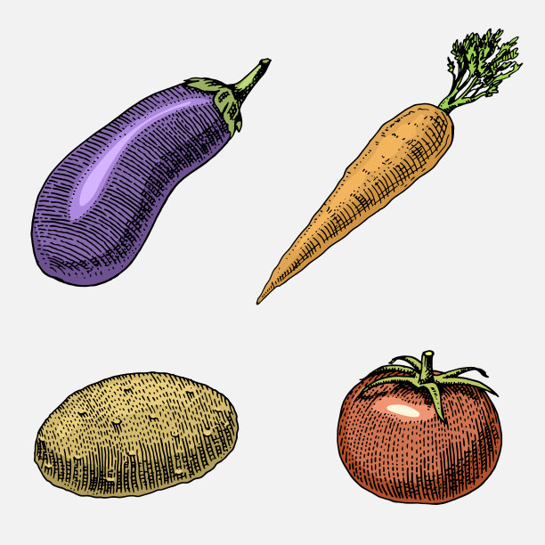 一套手绘雕刻蔬菜素图片下载