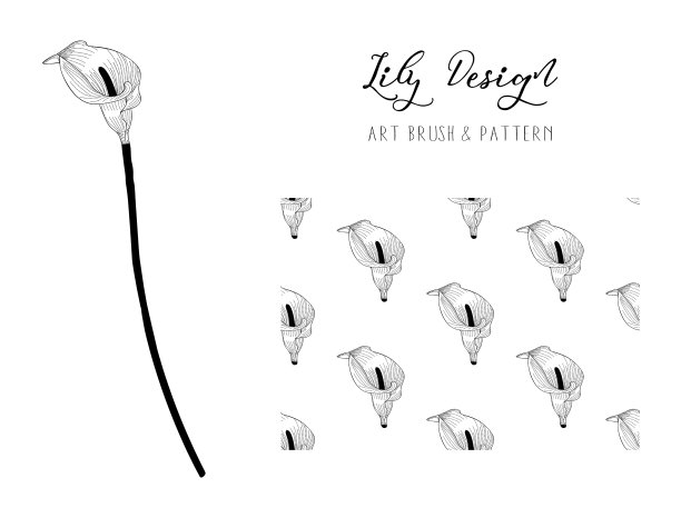 百合花设计艺术笔画和图案图片下载