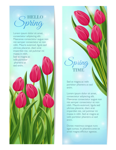 春天的问候卡片和盛开的郁金香图片下载