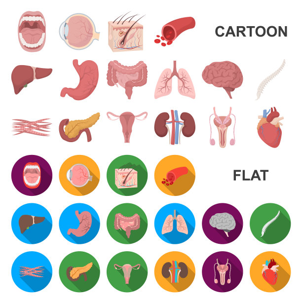 人体内部器官卡通图标设置图片下载