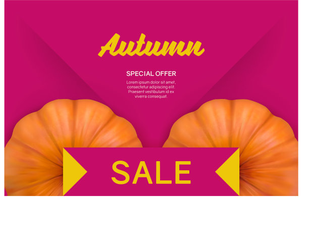秋季销售亮粉色的南瓜背景图片下载