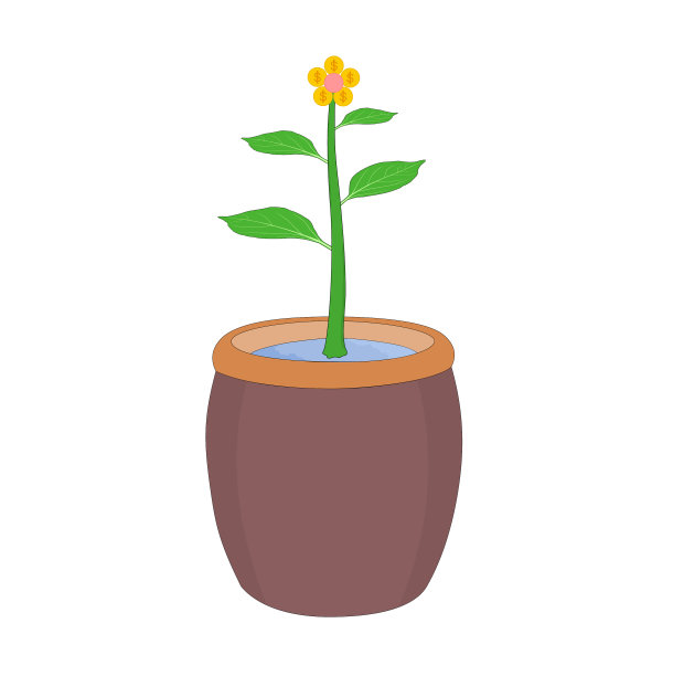 商财花盆栽图片下载