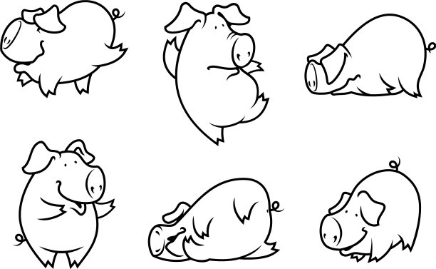 可爱的猪组图片下载