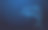 星形背景的海豚网格线框图片下载