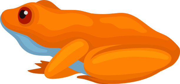 可爱的青蛙孤立在白色背景侧视图图片下载