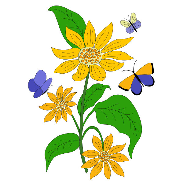 在矢量图形中，向日葵和蝴蝶在白色背景上组成。为设计明信片，祝贺，笔记本，电话，枕头上的印刷品，纺织品封面图片下载