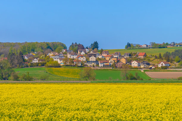 德国，Baden-Württemberg, Herbrechtingen附近的Anhausen定居点。德国的小山村。蔚蓝的天空，前景是明黄色的油菜籽田。旅游、农业的概念图片下载