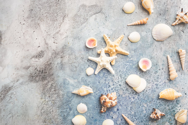 夏季海平躺图片下载