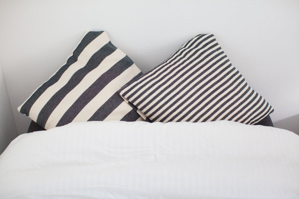 房间里有沙发和靠垫图片下载