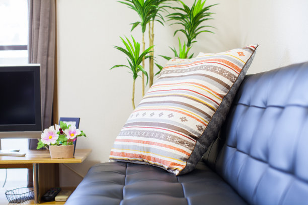 房间里有沙发和靠垫图片下载