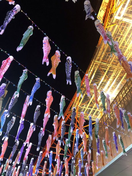 鲤鱼等浮电缆图片下载