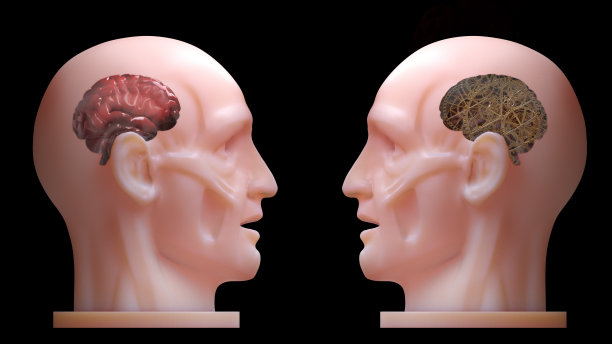 两头人的地下散射阴影显示对比内部机械齿轮和真实的大脑与3d渲染。图片下载