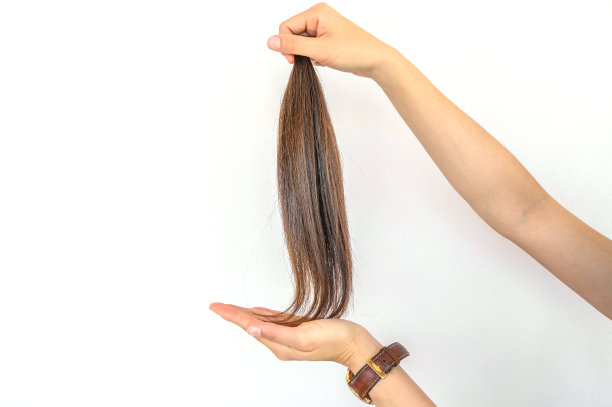 裁剪的观点，有人手拿着一个马尾辫剪头发捐赠。图片下载