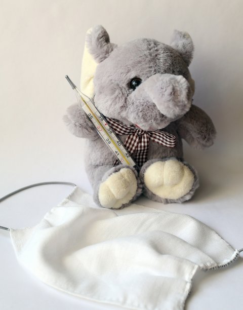 毛绒玩具大象，带温度计和医用口罩图片下载