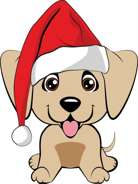 红毛快乐的狗穿着红色夹克和白色图片下载