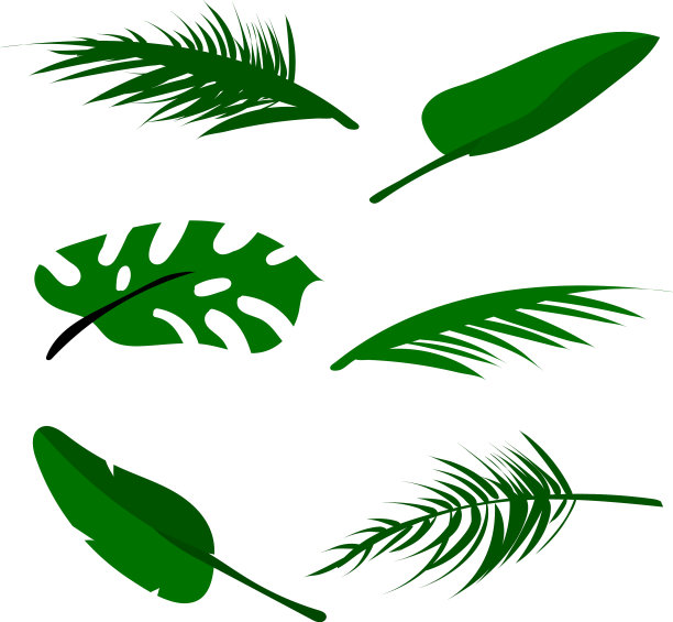 热带花卉组图片下载