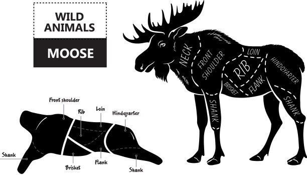 切麋鹿设置海报屠夫图-沙漠图片下载