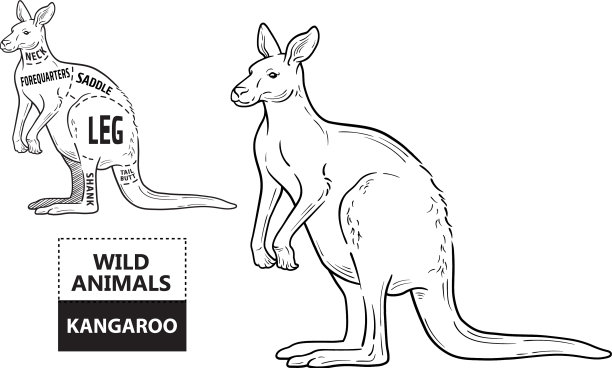 袋鼠布景海报屠夫图的剪辑图片下载