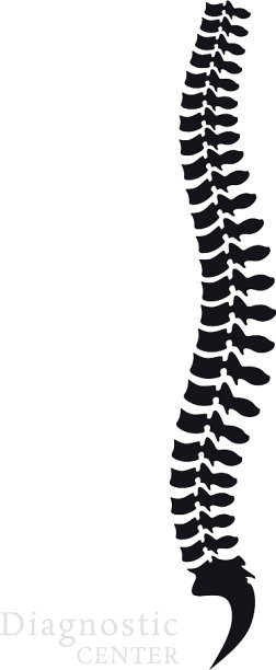 脊柱均为颈椎、胸椎图片下载