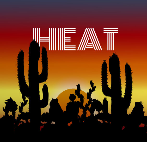 沙漠日落时仙人掌的剪影图片下载