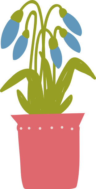 春天的雪花莲花在花盆里美丽图片下载