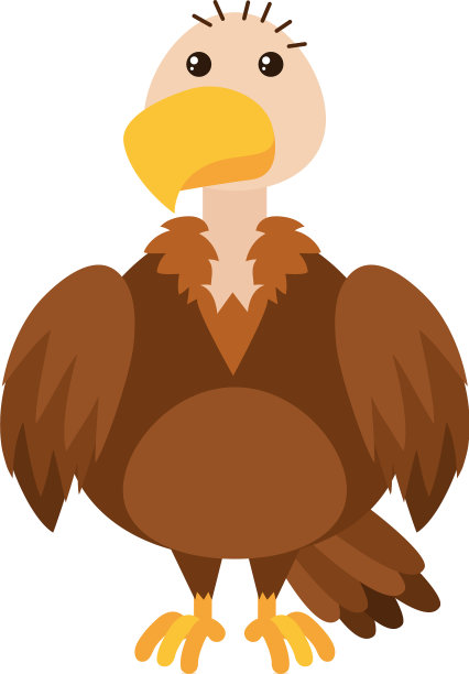 白底上的秃鹫图片下载