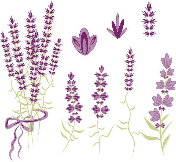 设置元素为薰衣草设计中的风格图片下载