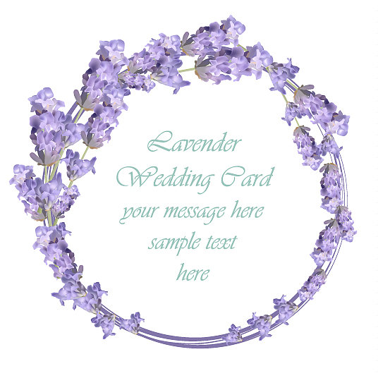 薰衣草娇嫩的花圈卡春暖夏凉图片下载