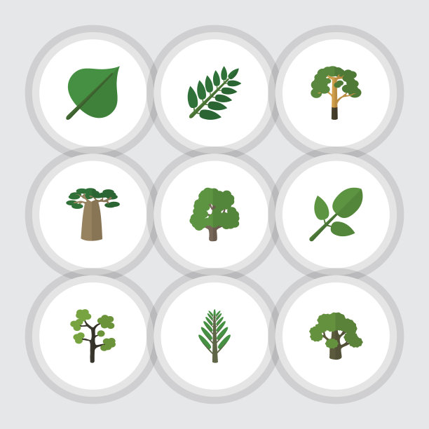 平面图标自然集木金合欢叶花园图片下载