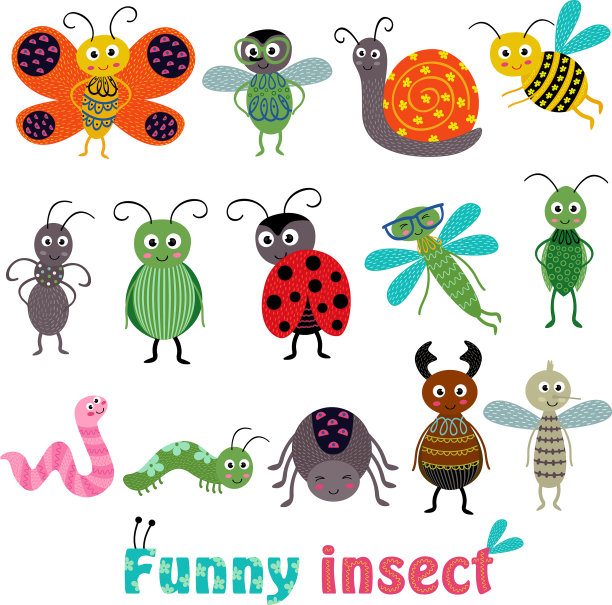 集孤立与有趣的昆虫图片下载