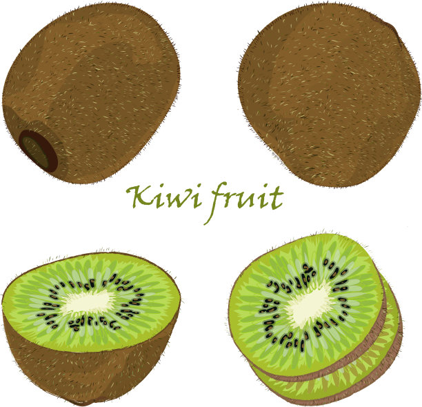套手绘猕猴桃单剥皮和图片下载