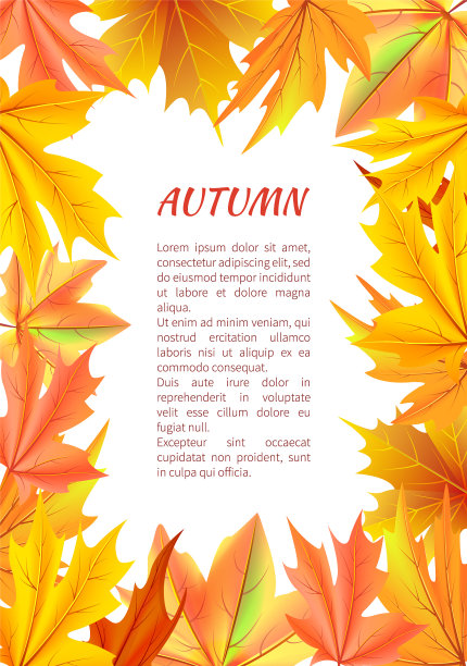 秋天的背景与框架的树叶图片下载